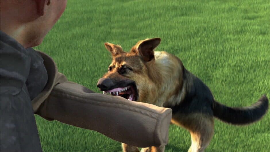 Скриншот 1 из Animal Trainer
