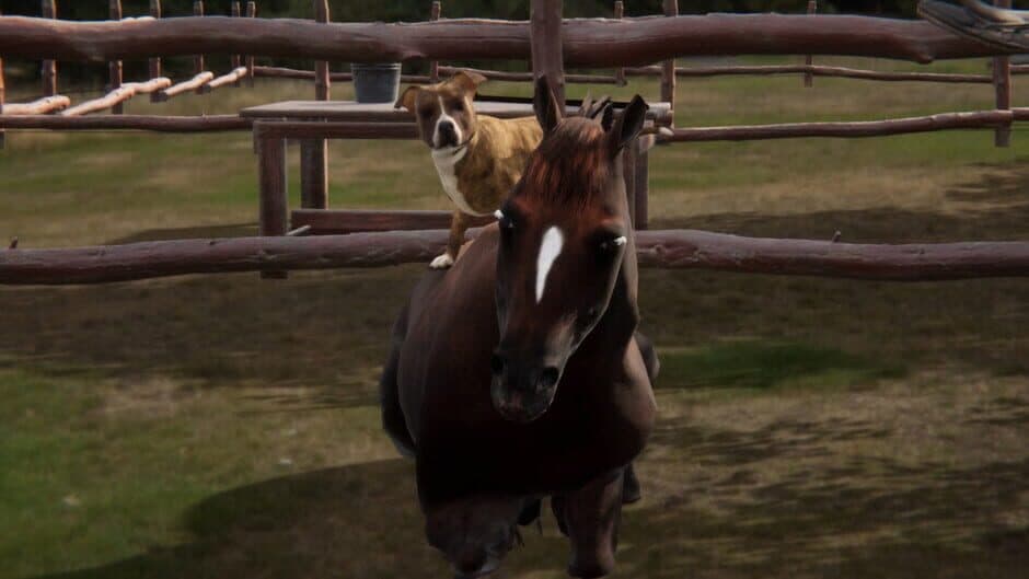 Скриншот 7 из Animal Trainer