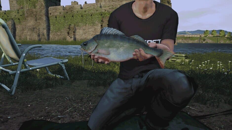 Скриншот 2 из Euro Fishing: The Moat