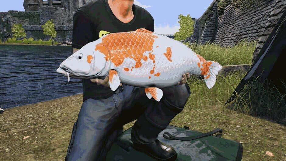 Скриншот 9 из Euro Fishing: The Moat