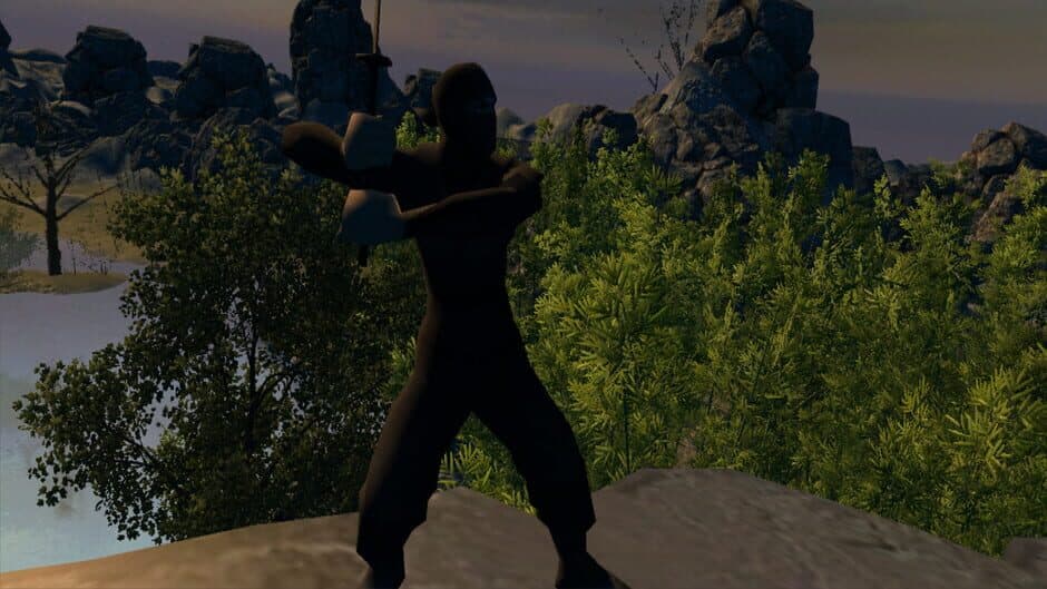 Скриншот 1 из Aka Ninja VR