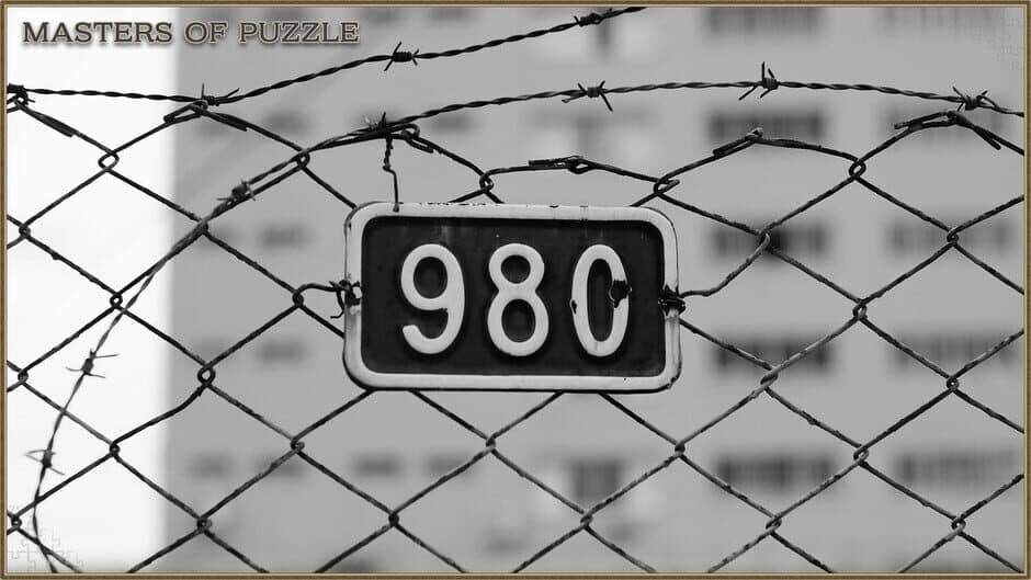 Скриншот 1 из Masters of Puzzle: Black and White - 980