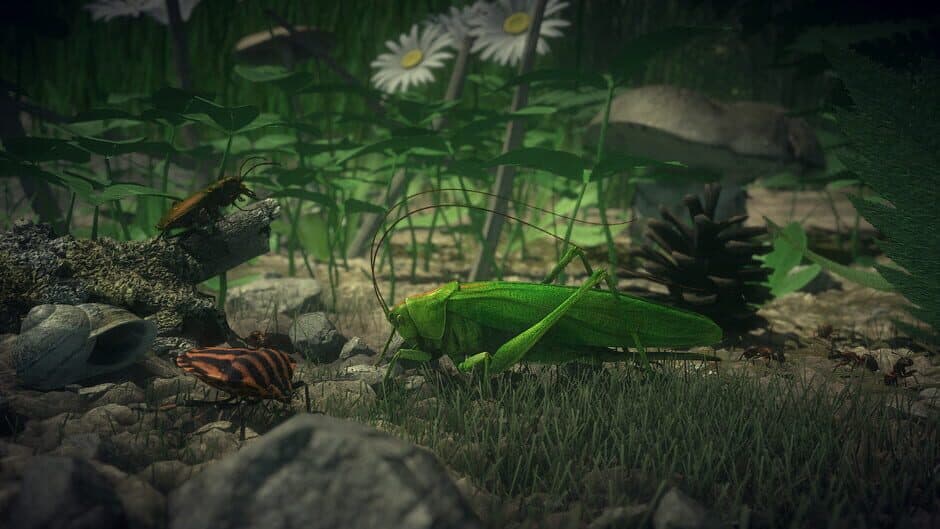 Скриншот 1 из Insect Worlds