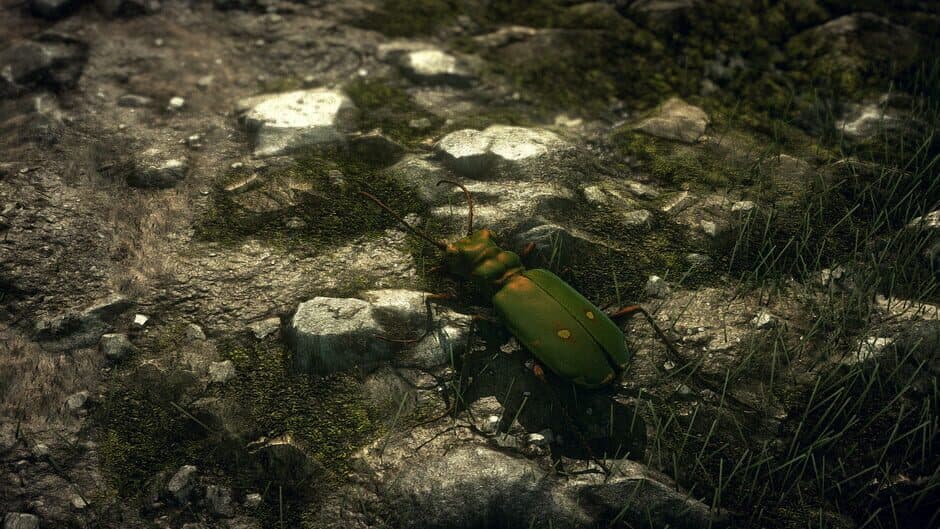 Скриншот 3 из Insect Worlds