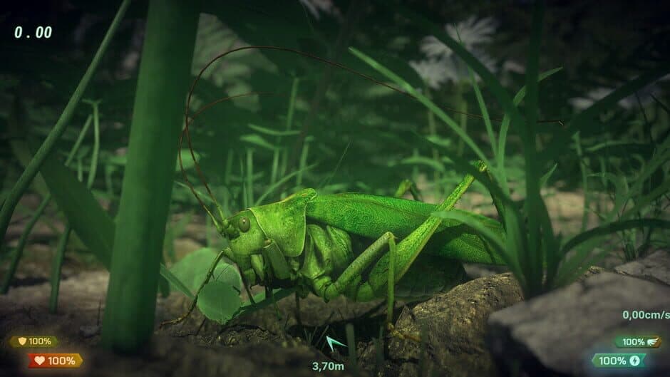 Скриншот 4 из Insect Worlds