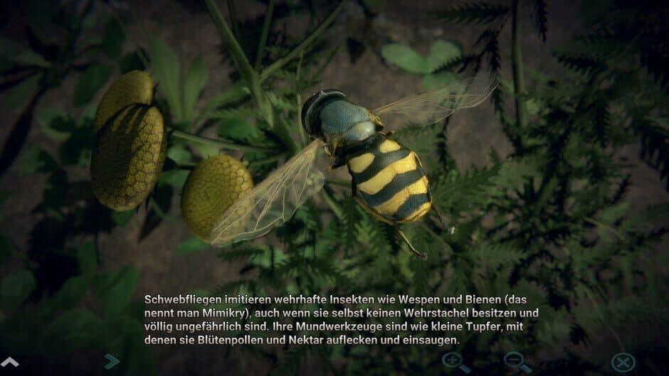 Скриншот 5 из Insect Worlds