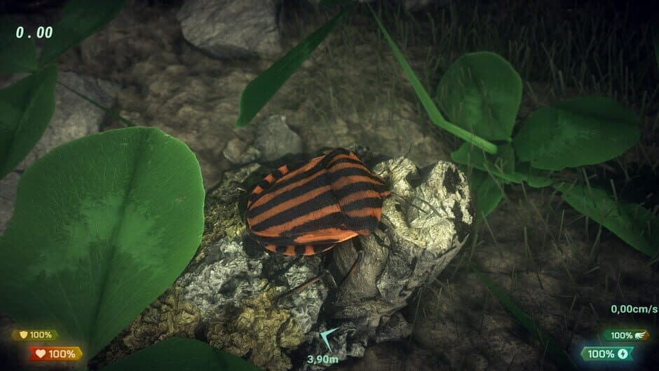 Скриншот 7 из Insect Worlds