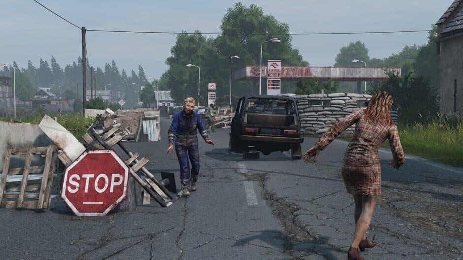 Скриншот 6 из DayZ: Livonia