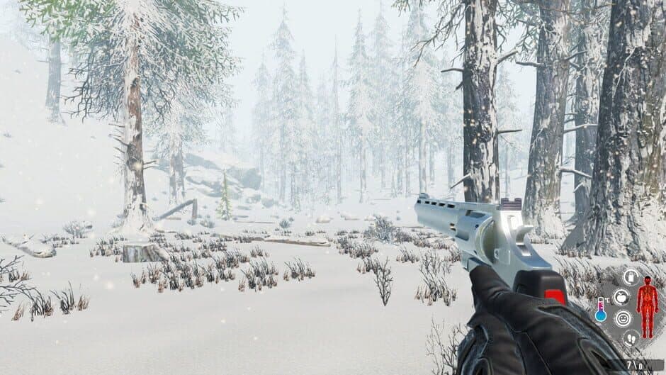 Скриншот 2 из Snow Survival