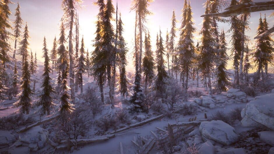 Скриншот 8 из Snow Survival