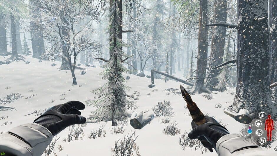 Скриншот 9 из Snow Survival
