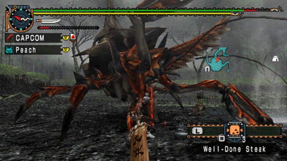 Скриншот 3 из Monster Hunter Dual Pack