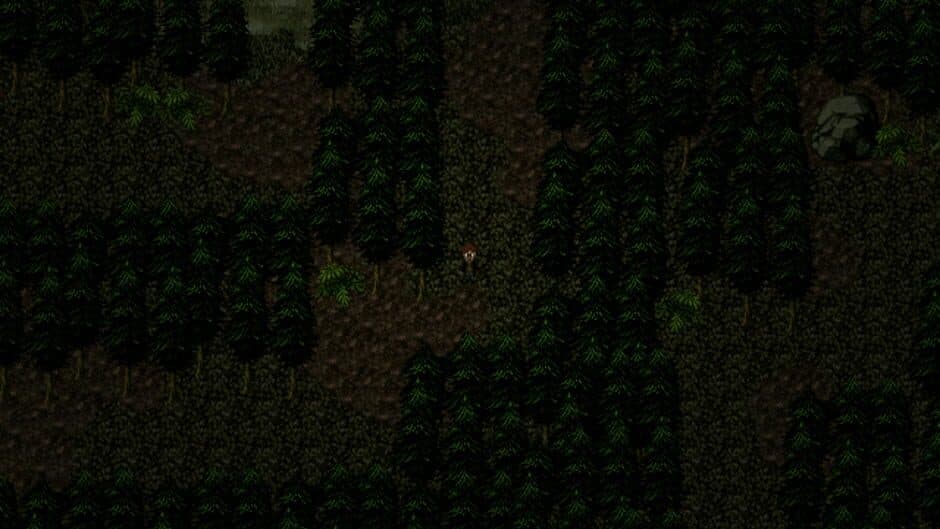 Скриншот 2 из The Visitor