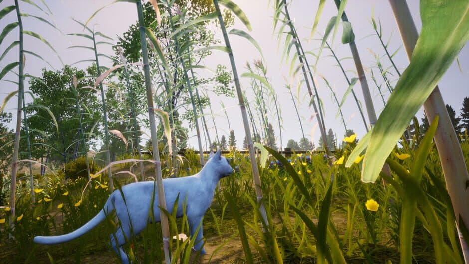 Скриншот 4 из Cat Simulator: Meow