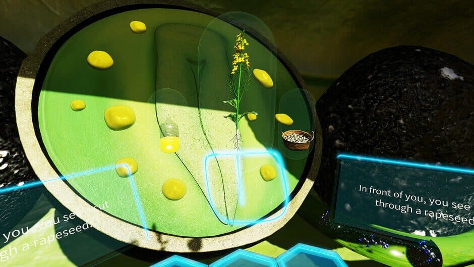 Скриншот 7 из VR Plant Journey