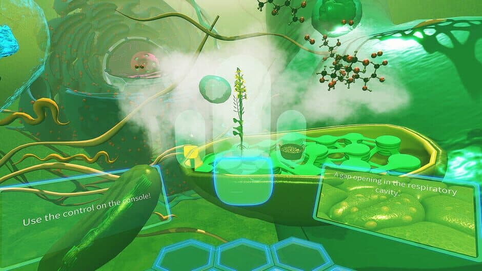 Скриншот 8 из VR Plant Journey