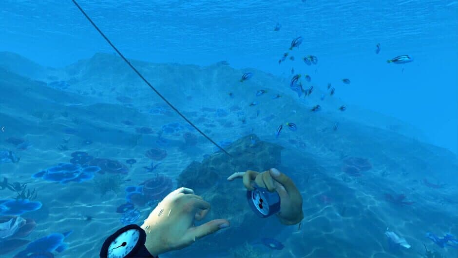 Скриншот 3 из Bodies of Water VR