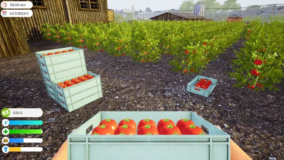 Скриншот 4 из Farmer Life Simulator