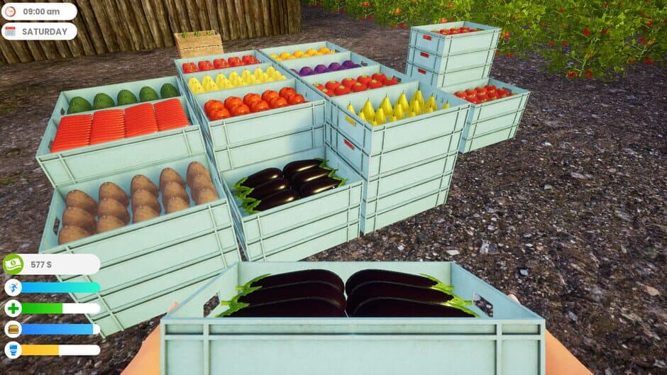 Скриншот 3 из Farmer Life Simulator