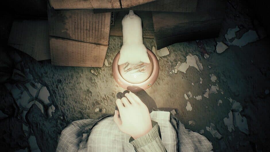 Скриншот 5 из The Grotto Diary