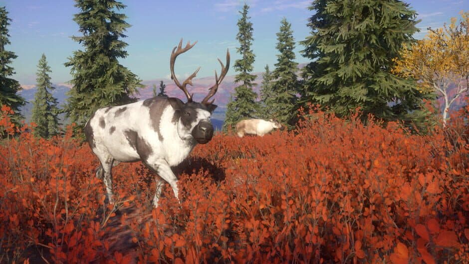 Скриншот 1 из TheHunter: Call of the Wild - Yukon Valley