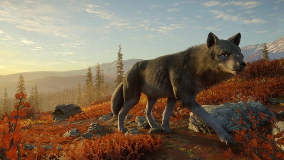 Скриншот 5 из TheHunter: Call of the Wild - Yukon Valley