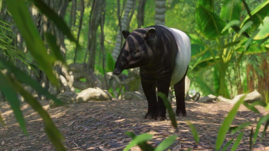 Скриншот 3 из Planet Zoo: Southeast Asia Animal Pack