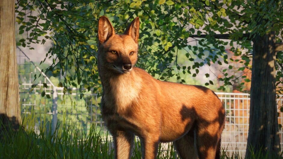 Скриншот 5 из Planet Zoo: Southeast Asia Animal Pack