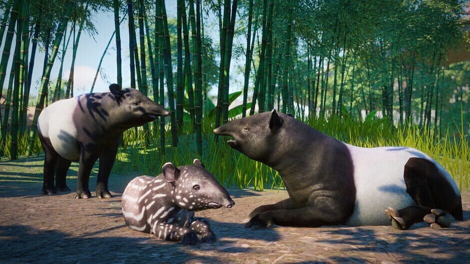 Скриншот 9 из Planet Zoo: Southeast Asia Animal Pack