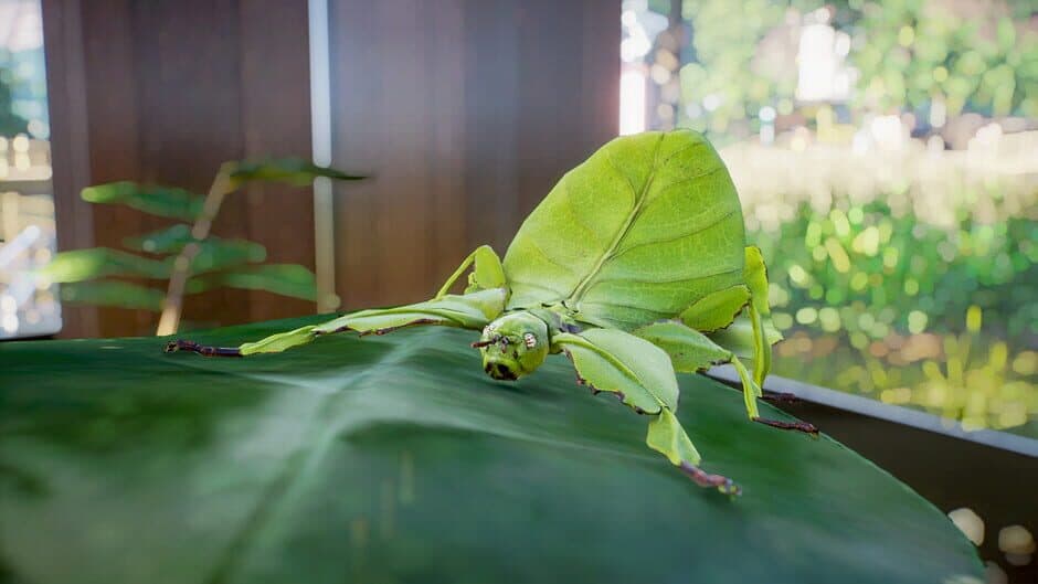 Скриншот 10 из Planet Zoo: Southeast Asia Animal Pack