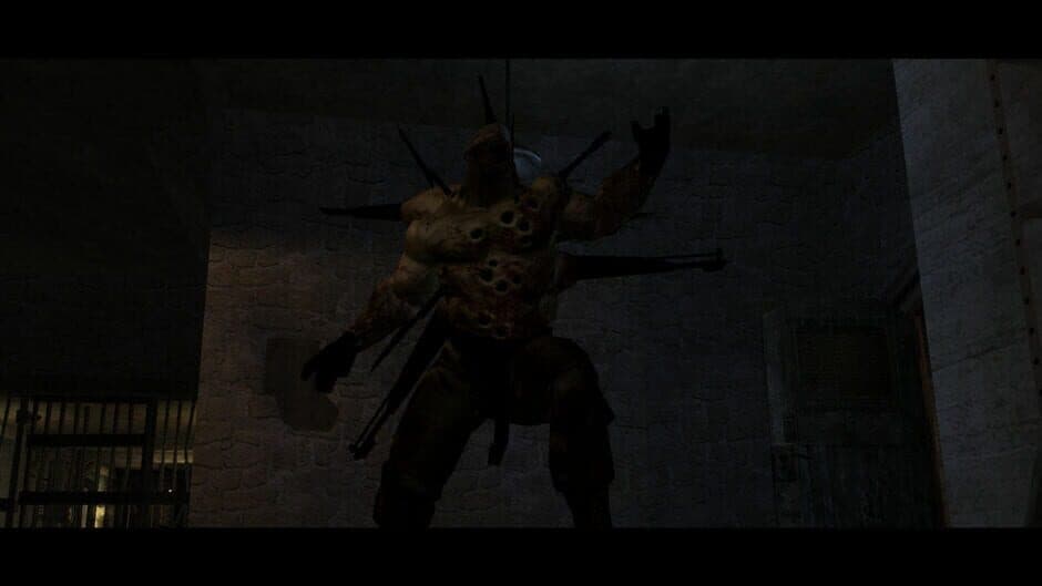 Скриншот 12 из The Suffering