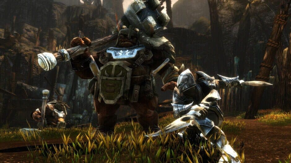 Скриншот 9 из Kingdoms of Amalur: Re-Reckoning - Fate Edition