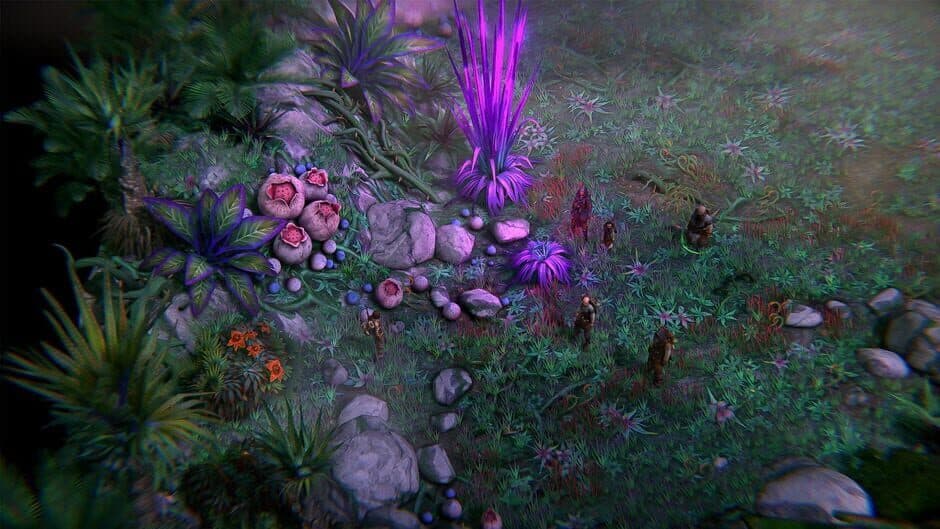 Скриншот 2 из Pathfinder: Kingmaker - The Wildcards