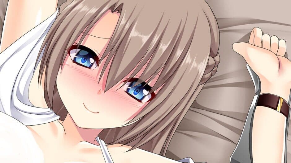 Скриншот 1 из The Harem Life of the Violent Swordsman!