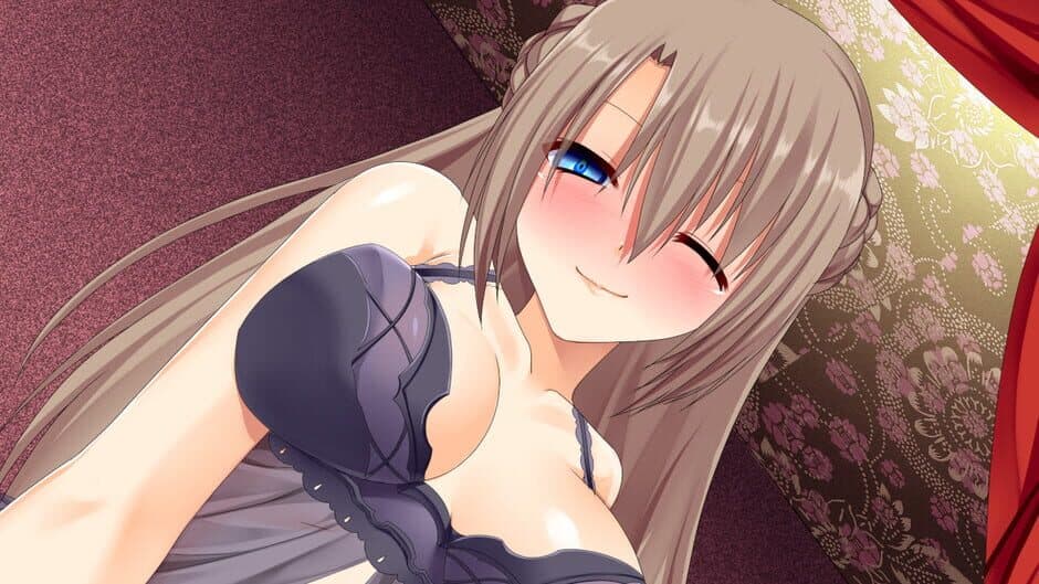 Скриншот 3 из The Harem Life of the Violent Swordsman!