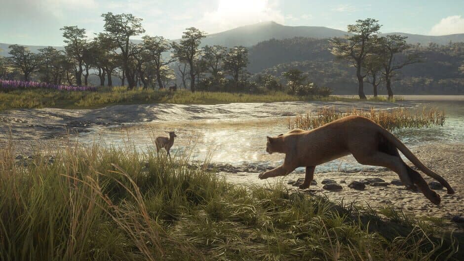 Скриншот 3 из TheHunter: Call of the Wild - Parque Fernando
