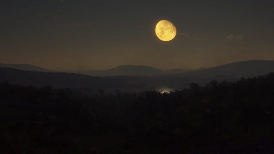Скриншот 4 из TheHunter: Call of the Wild - Parque Fernando