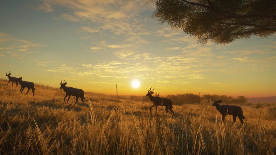 Скриншот 6 из TheHunter: Call of the Wild - Vurhonga Savanna