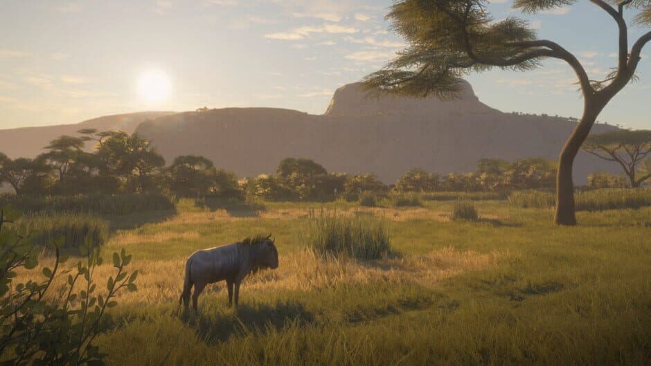 Скриншот 7 из TheHunter: Call of the Wild - Vurhonga Savanna