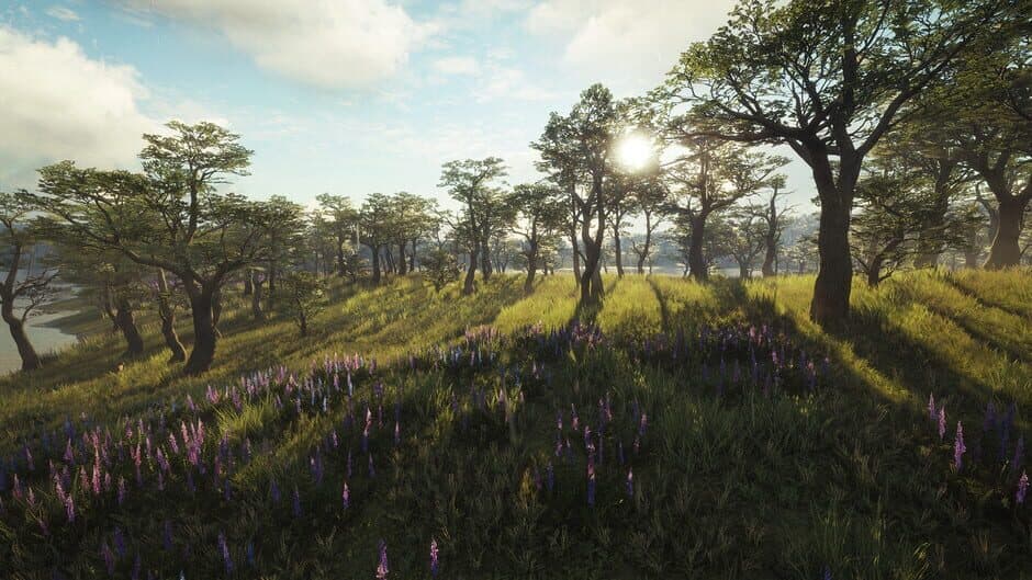 Скриншот 2 из TheHunter: Call of the Wild - Parque Fernando