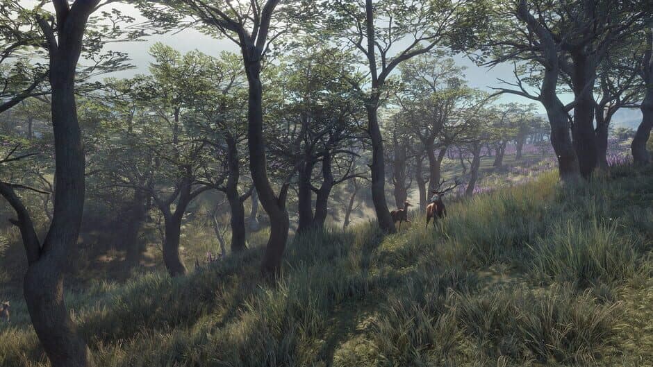 Скриншот 9 из TheHunter: Call of the Wild - Parque Fernando
