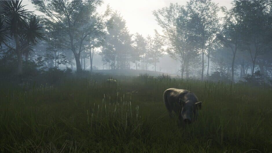 Скриншот 2 из TheHunter: Call of the Wild - Te Awaroa National Park