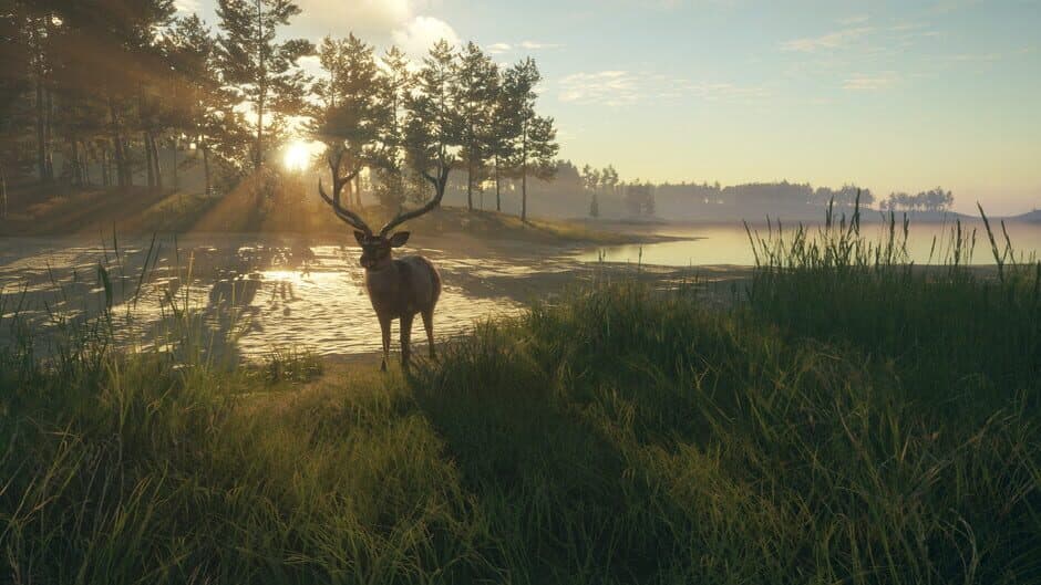 Скриншот 4 из TheHunter: Call of the Wild - Te Awaroa National Park