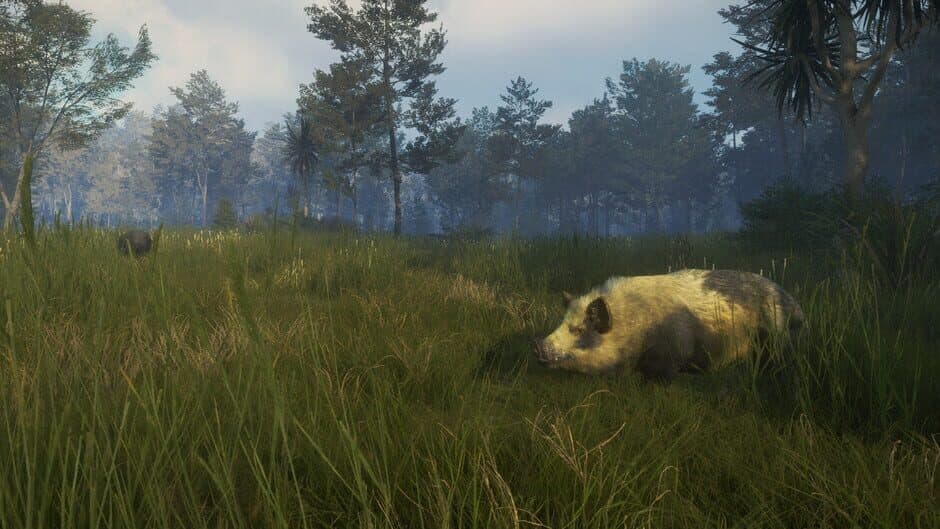 Скриншот 7 из TheHunter: Call of the Wild - Te Awaroa National Park