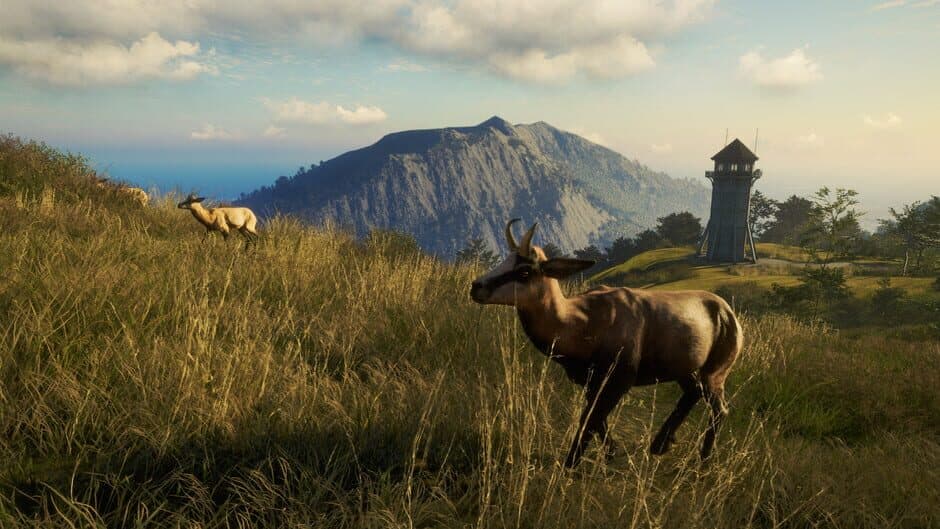 Скриншот 11 из TheHunter: Call of the Wild - Te Awaroa National Park