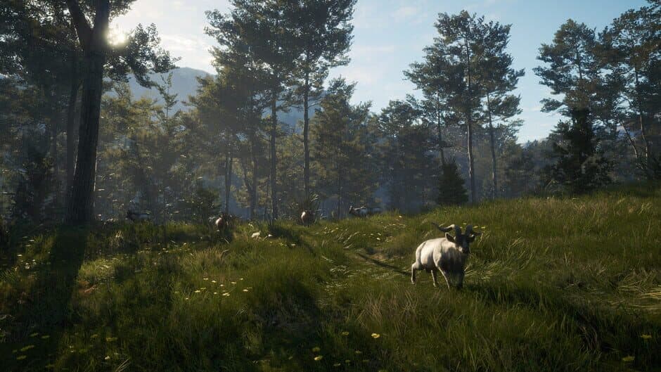 Скриншот 9 из TheHunter: Call of the Wild - Te Awaroa National Park