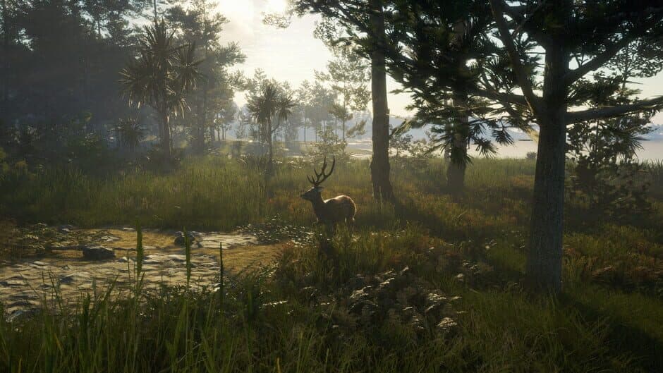 Скриншот 12 из TheHunter: Call of the Wild - Te Awaroa National Park
