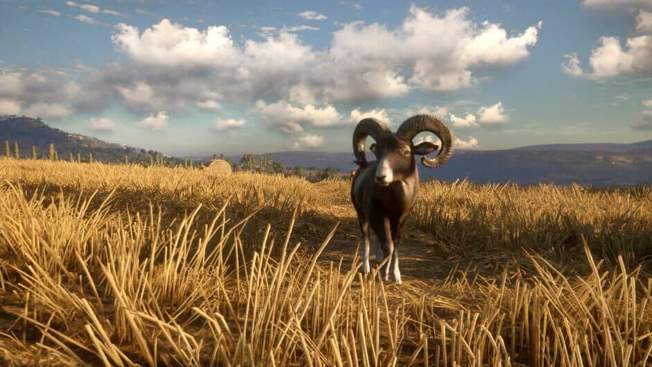 Скриншот 1 из TheHunter: Call of the Wild - Cuatro Colinas Game Reserve