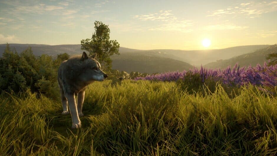 Скриншот 2 из TheHunter: Call of the Wild - Cuatro Colinas Game Reserve