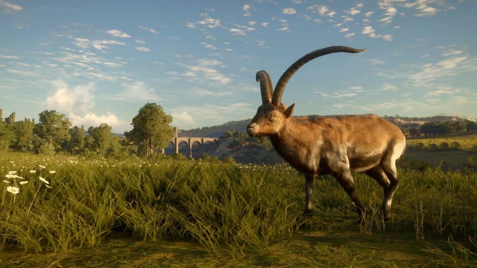 Скриншот 3 из TheHunter: Call of the Wild - Cuatro Colinas Game Reserve